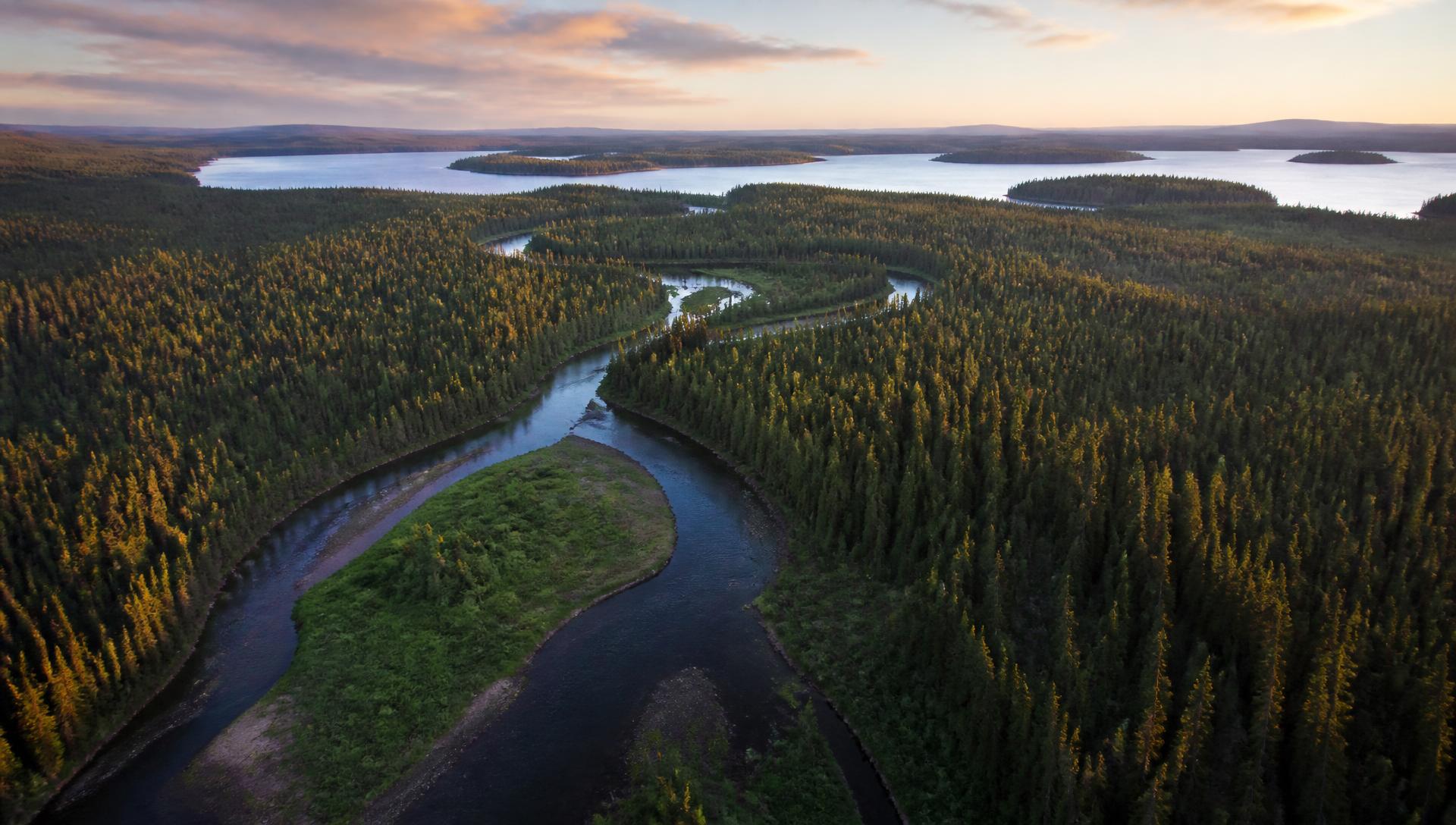 Aerial view of a river winding through Canadian boreal forest at sunset